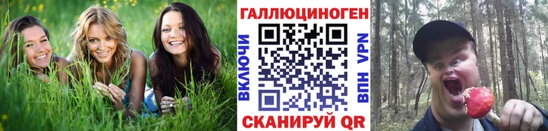 Псилоцибиновые грибы Magic Shrooms  kraken маркетплейс  Новозыбков 